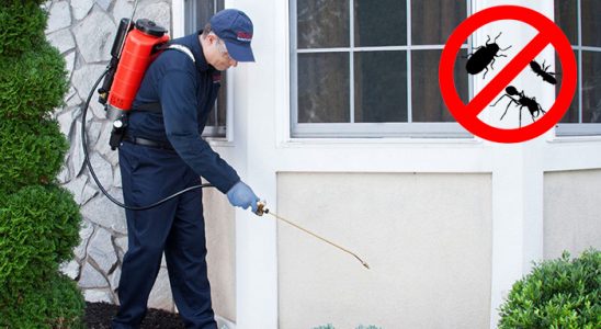 Yeniçamlık Dezenfeksiyon böcek ilaçlama ve haşere kontrolü — ilaclama-tr.com